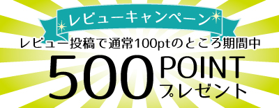 レビュー投稿